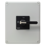 Slika Rastavljač TeSys Vario 100A 3P u kućištu Schneider