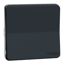 Slika Prekidač naizmenični nadgradni/ugradni 1P 10A IP55 sivi Mureva Styl Schneider