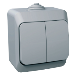 Slika Dvostruki jednopolni prekidač 16AX sivi Cedar Plus Schneider