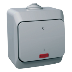 Slika Dvopolni prekidač 16AX sa lokatorskom lampicom sivi Cedar Plus Schneider