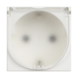 Slika Priključnica 2P modularna 2M 16A 230V 2P+E sa poklopcem bela Classia Legrand