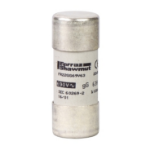 Slika Osigurač cilindrični 40A 22x58mm gG bez indikacije TeSys Schneider