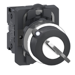 Slika Prekidač  izobrni sa ključem fi22 2 pozicije sa povratkom 2NO Schneider