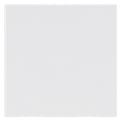Slika Slepi modul 2M beli Mosaic Legrand